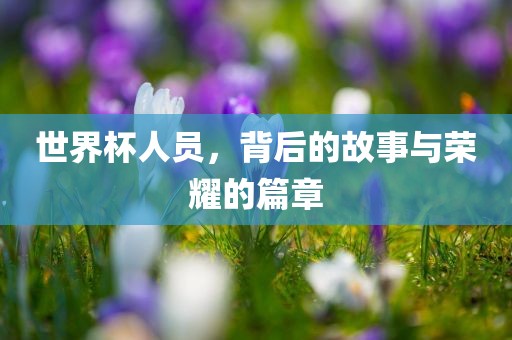世界杯人员，背后的故事与荣耀的篇章