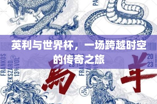 英利与世界杯，一场跨越时空的传奇之旅