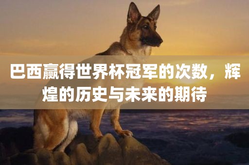 巴西赢得世界杯冠军的次数，辉煌的历史与未来的期待