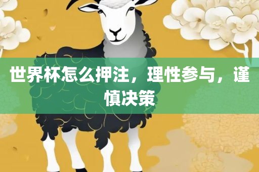 世界杯怎么押注，理性参与，谨慎决策