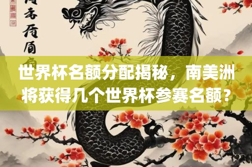 世界杯名额分配揭秘，南美洲将获得几个世界杯参赛名额？