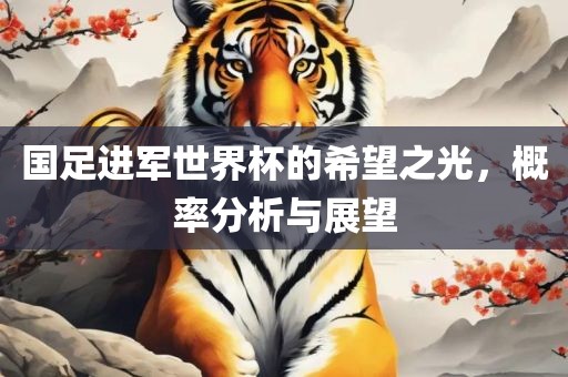 国足进军世界杯的希望之光，概率分析与展望