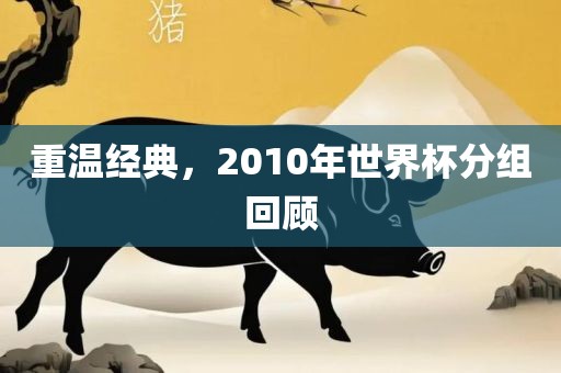 重温经典，2010年世界杯分组回顾