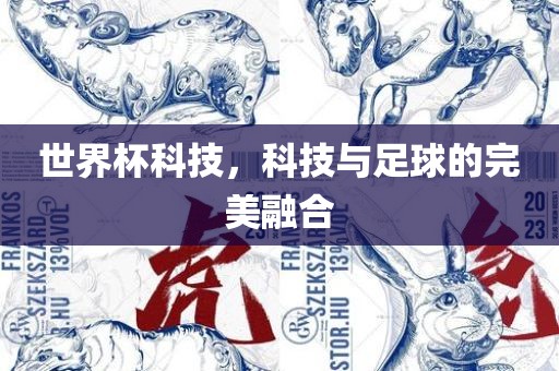 世界杯科技，科技与足球的完美融合