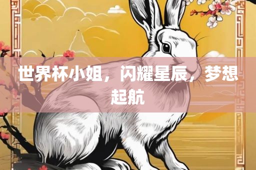 世界杯小姐，闪耀星辰，梦想起航