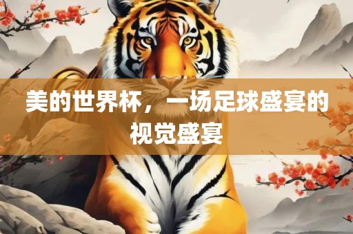 美的世界杯，一场足球盛宴的视觉盛宴