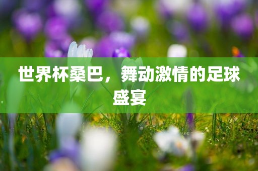 世界杯桑巴，舞动激情的足球盛宴漯河市盈旭机械设备有限公司