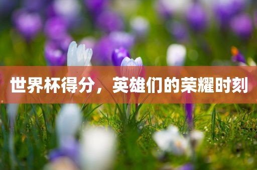 世界杯得分，英雄们的荣耀时刻