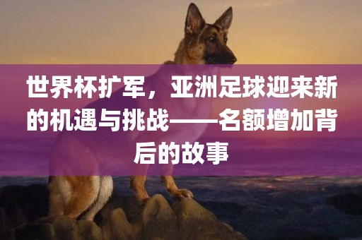世界杯扩军，亚洲足球迎来新的机遇与挑战——名额增加背后的故事