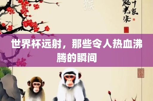 世界杯远射，那些令人热血沸腾的瞬间漯河市盈旭机械设备有限公司