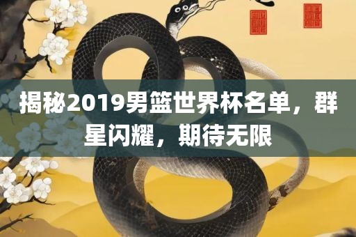 揭秘2019男篮世界杯名单，群星闪耀，期待无限