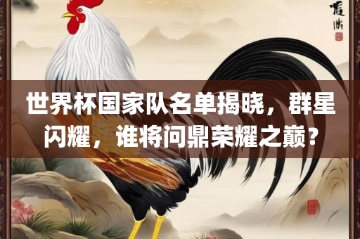 世界杯国家队名单揭晓，群星闪耀，谁将问鼎荣耀之巅？