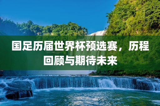 国足历届世界杯预选赛，历程回顾与期待未来