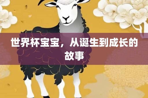 世界杯宝宝，从诞生到成长的故事漯河市盈旭机械设备有限公司