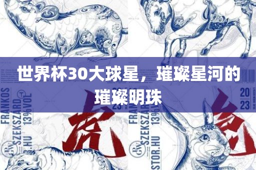 世界杯30大球星，璀璨星河的璀璨明珠