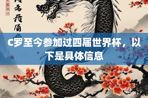 C罗至今参加过四届世界杯，以下是具体信息