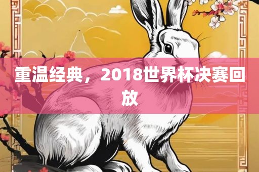 重温经典，2018世界杯决赛回放