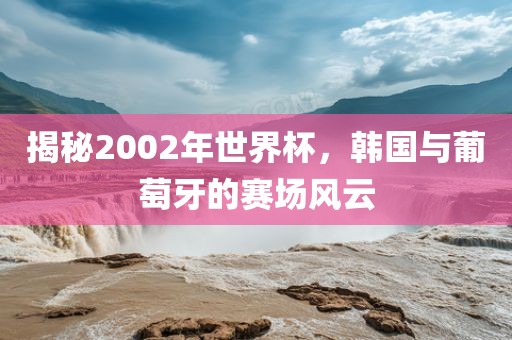 揭秘2002年世界杯，韩国与葡萄牙的赛场风云