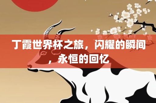 丁霞世界杯之旅，闪耀的瞬间，永恒的回忆