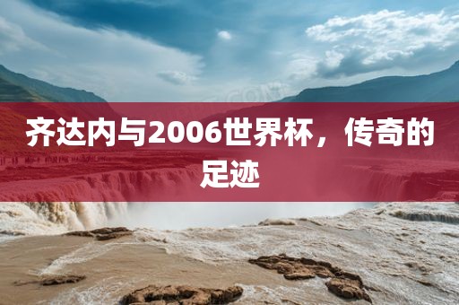 齐达内与2006世界杯，传奇的足迹