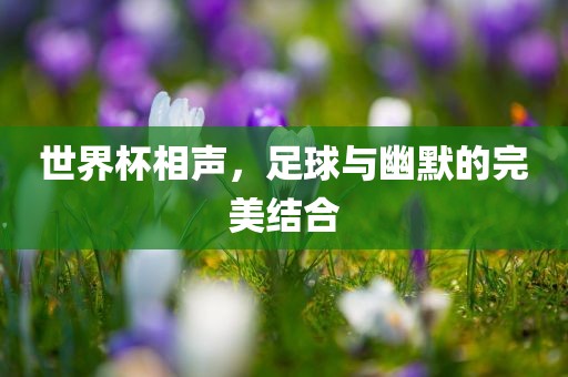 世界杯相声，足球与幽默的完美结合