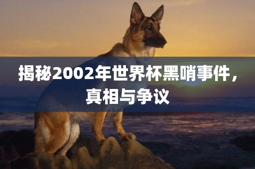 揭秘2002年世界杯黑哨事件，真相与争议