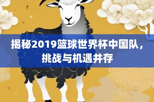 揭秘2019篮球世界杯中国队，挑战与机遇并存