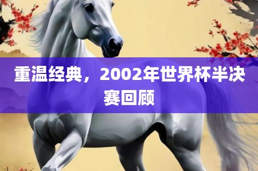 重温经典，2002年世界杯半决赛回顾