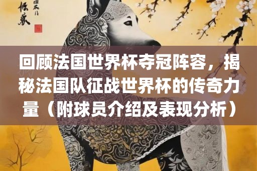 回顾法国世界杯夺冠阵容，揭秘法国队征战世界杯的传奇力量（附球员介绍及表现分析）