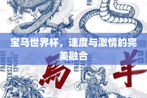 宝马世界杯，速度与激情的完美融合