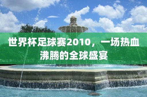 世界杯足球赛2010，一场热血沸腾的全球盛宴