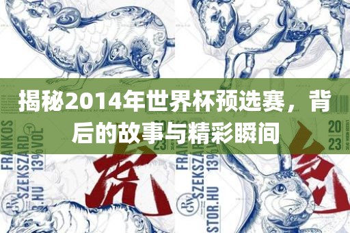 揭秘2014年世界杯预选赛，背后的故事与精彩瞬间