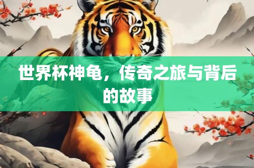 世界杯神龟，传奇之旅与背后的故事