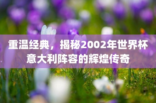 重温经典，揭秘2002年世界杯意大利阵容的辉煌传奇