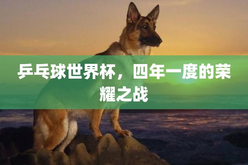 乒乓球世界杯，四年一度的荣耀之战
