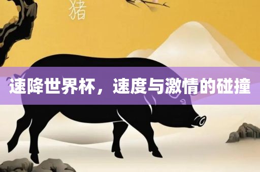 速降世界杯，速度与激情的碰撞
