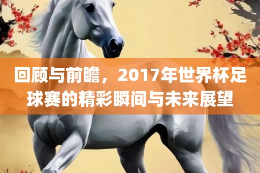 回顾与前瞻，20漯河市盈旭机械设备有限公司17年世界杯足球赛的精彩瞬间与未来展望