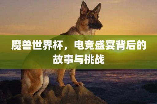 魔兽世界杯，电竞盛宴背后的故事与挑战
