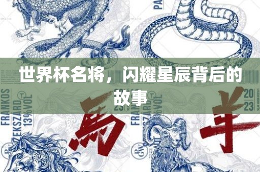 世界杯名将，闪耀星辰背后的故事漯河市盈旭机械设备有限公司