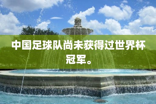 中国足球队尚未获得过世界杯冠军。
