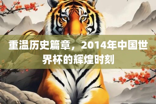 重温历史篇章，2014年中国世界杯的辉煌时刻