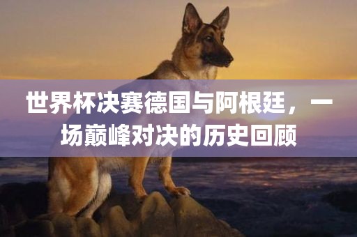 世界杯决赛德国与阿根廷，一场巅峰对决的历史回顾漯河市盈旭机械设备有限公司
