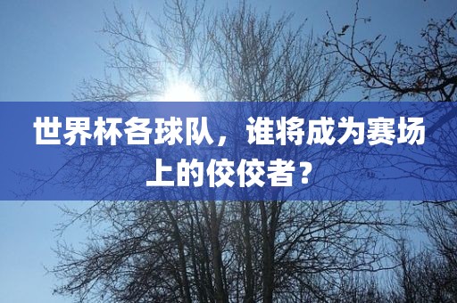 世界杯各球队，谁将成为赛场上的佼佼者？
