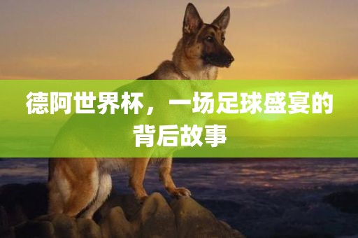 德阿世界杯，一场足球盛宴的背后故事