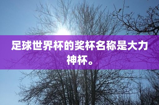 足球世界杯的奖杯名称是大力神杯。