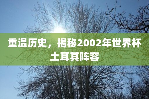 重温历史，揭秘2002年世界杯土耳其阵容
