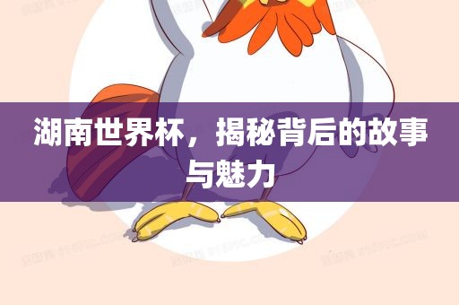 湖南世界杯，揭秘背后的故事与魅力