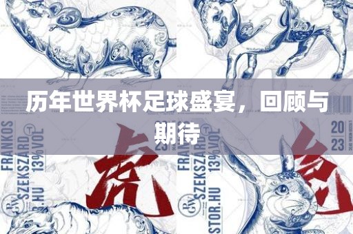 历年世界杯足球盛宴，回顾与期待