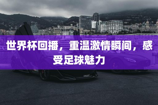 世界杯回播，重温激情瞬间，感受足球魅力漯河市盈旭机械设备有限公司