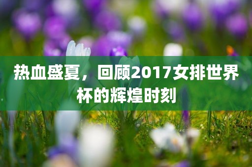 热血盛夏，回顾2017女排世界杯的辉煌时刻